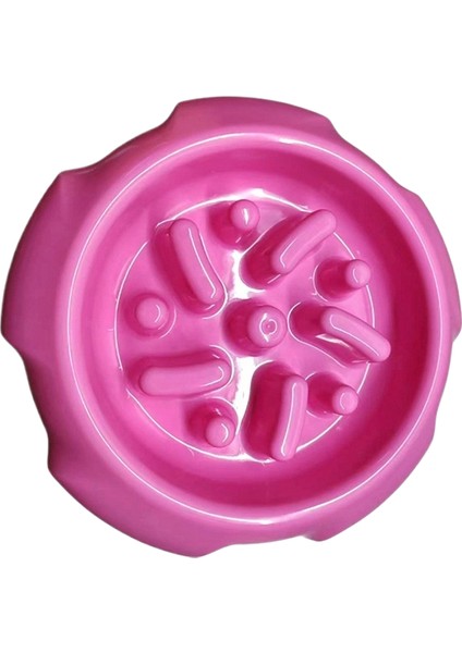 Kaymaz Paspaslı, Boğulma ve Sıçrama Önleyici Pet Yavaş Yemek Kabı (Yurt Dışından)