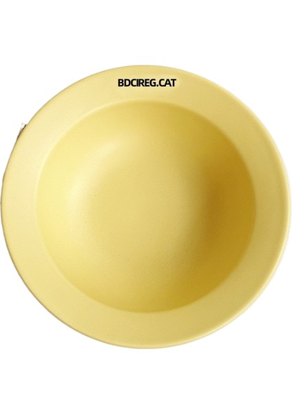 Kaymaz Paspaslı, Boğulma ve Sıçrama Önleyici Pet Yavaş Yemek Kabı (Yurt Dışından)
