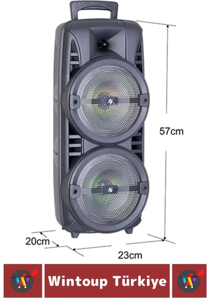 Yüksek Sesli Dj Bass Aux USB Sf Kart Giriş Radyo Destek Karaoke Mikrofon 8*2 Inch Bluetooth Hoparlör