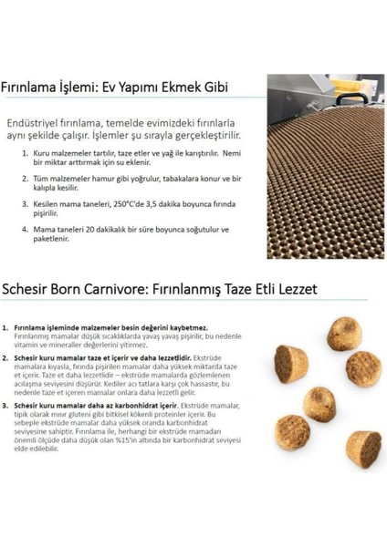 Born Carnivore Tavuk ve Yumurtalı Yetişkin Kedi Maması 255GR