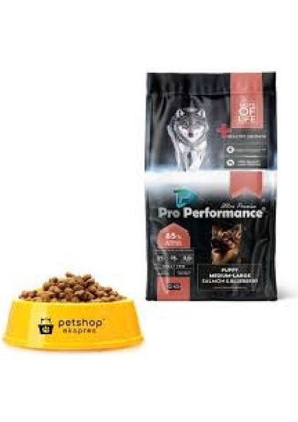 12 kg Pro Performance Köpek Maması Puppy Medium Large Somonlu