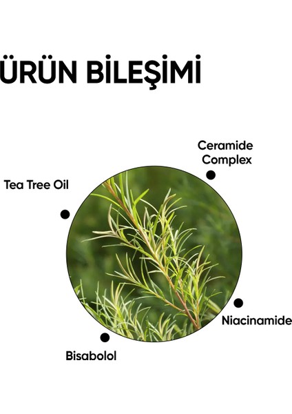 Sebum Dengeleyici Bakım Kremi / Sebocalm Hydra Cream modelleri