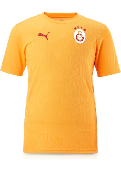 Galatasaray Puma A Takım Antrenman T-Shirt 77969511