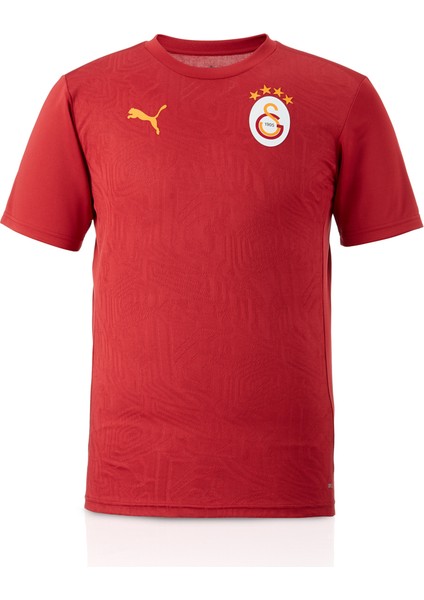 Galatasaray Puma A Takım Antrenman T-Shirt 77969501