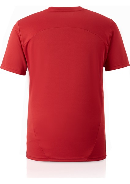 Galatasaray Puma A Takım Antrenman T-Shirt 77969501 fiyatları