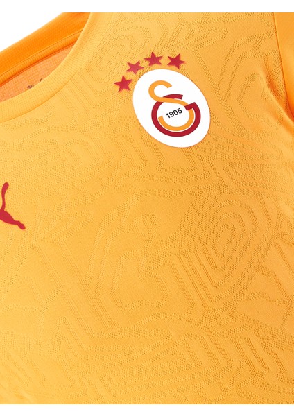 Galatasaray Puma A Takım Antrenman T-Shirt 77969511 fiyatları