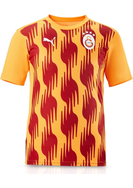 Galatasaray Puma A Takım Antrenman T-Shirt 77969304