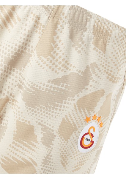 Galatasaray Puma 2024/2025 Kaleci Gri Şort 77967506