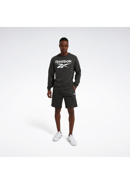 Identıty Bıg Logo Antrasit Erkek Sweatshirt modelleri