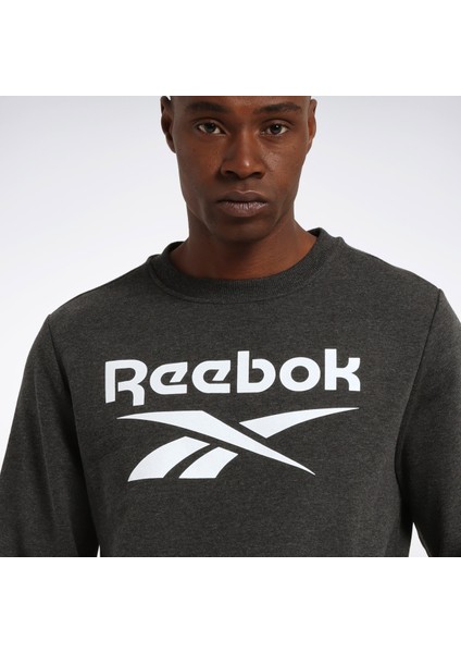 Identıty Bıg Logo Antrasit Erkek Sweatshirt fırsatları