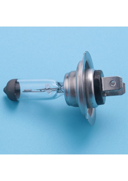 Araba Ampulü Kafa Lambası H7 (477/499) 12V 55W PX26D Halojen Xenon Ampul (Yurt Dışından)