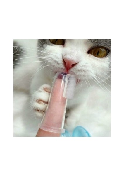 Kedi Köpek Diş Temizleme Fırçası fırsatları