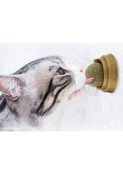 Kedi Otu Oyun Topu fiyatları