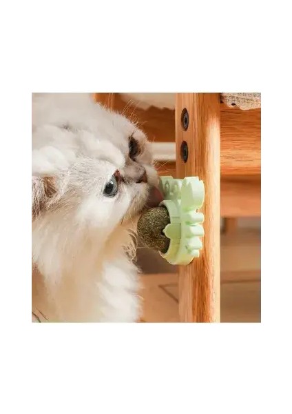 Yengeç Kedi Otu Oyun Topu fırsatları