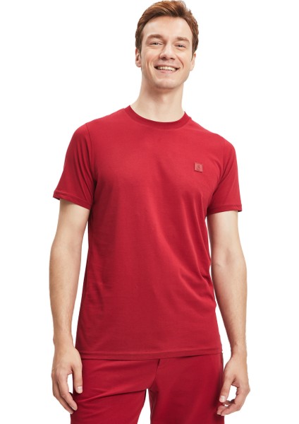 Galatasaray Erkek 3`lü Karışık Basic T-Shirt E241273