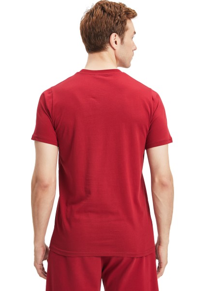 Galatasaray Erkek 3`lü Karışık Basic T-Shirt E241273 fırsatları