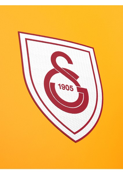 Galatasaray Çocuk Berkan Kutlu Design Fc T-Shirt C232385