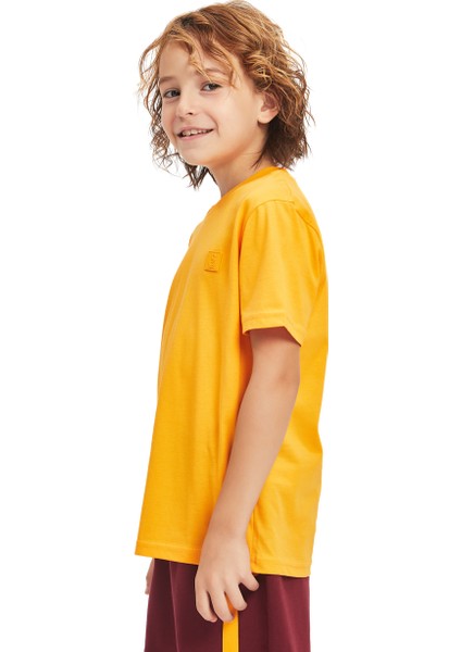Galatasaray Çocuk Basic T-Shirt C241233 modelleri