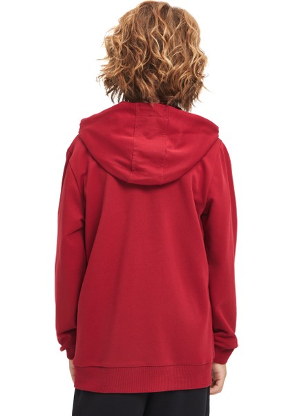 Galatasaray Çocuk Basic Fermuarlı Hoodie C241237
