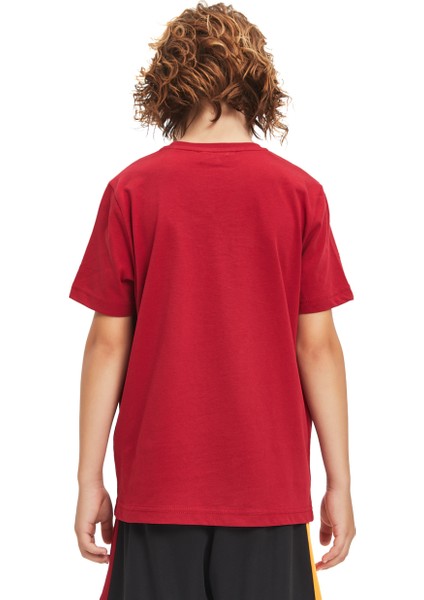 Galatasaray Çocuk T-Shirt C241126 fiyatları