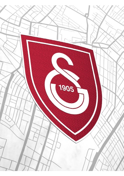 Galatasaray Çocuk Sallai Design Fc T-Shirt C241315