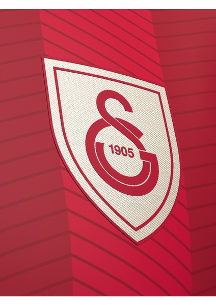 Galatasaray Jelert Design Fc T-Shirt E241312 modelleri