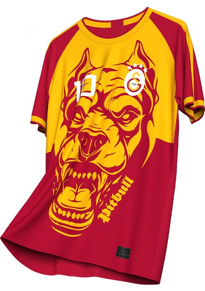 Galatasaray Felipe Melo Legends T-Shirt E232392 fiyatları