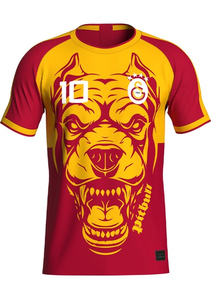 Galatasaray Felipe Melo Legends T-Shirt E232392 fiyatları