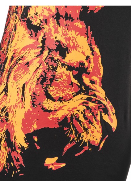 Galatasaray Erkek T-Shirt E242118 modelleri