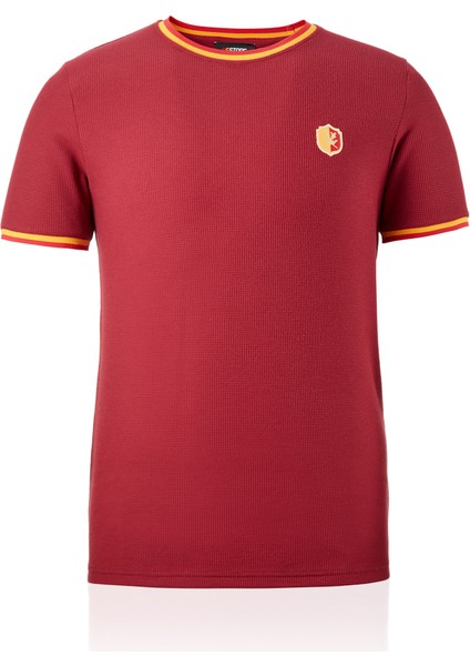 Galatasaray Erkek T-Shirt E242099 fiyatları