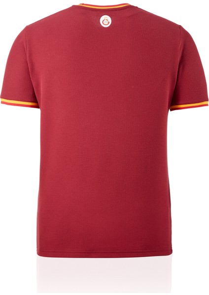 Galatasaray Erkek T-Shirt E242099 modelleri
