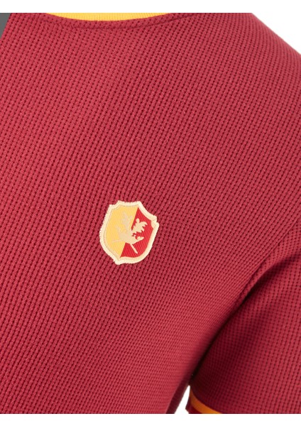 Galatasaray Erkek T-Shirt E242099 fırsatları