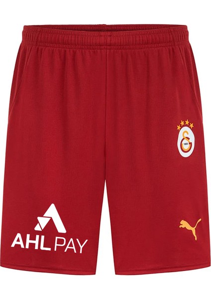 Galatasaray Puma 2024/2025 Iç Saha Parçalı Profesyonel Şort 77967101