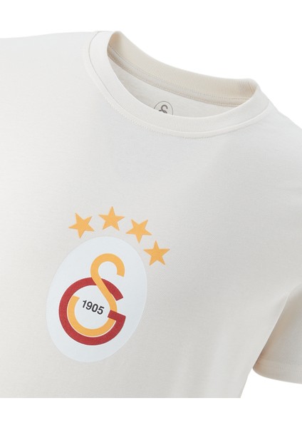 Galatasaray Erkek T-Shirt E241111 fiyatları