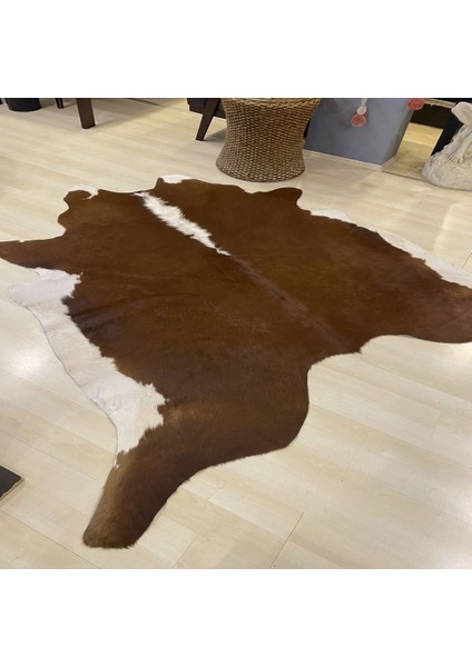 Naturel Gerçek Dana Derisi Pv 02 3,10 M2