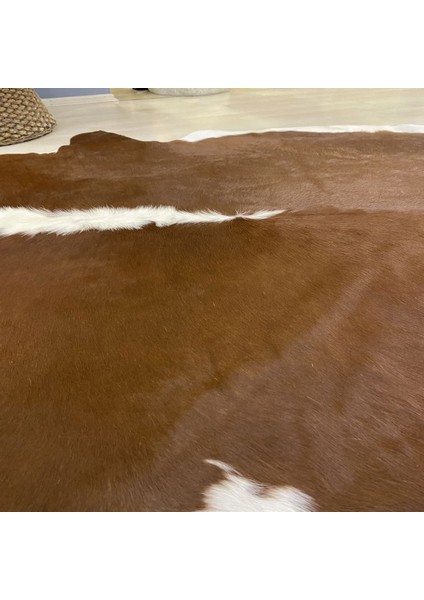 Naturel Gerçek Dana Derisi Pv 02 3,10 M2