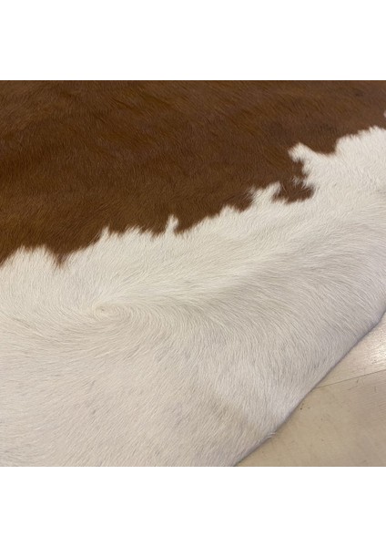 Naturel Gerçek Dana Derisi Pv 02 3,47 M2