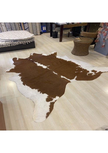 Naturel Gerçek Dana Derisi Pv 02 3,47 M2