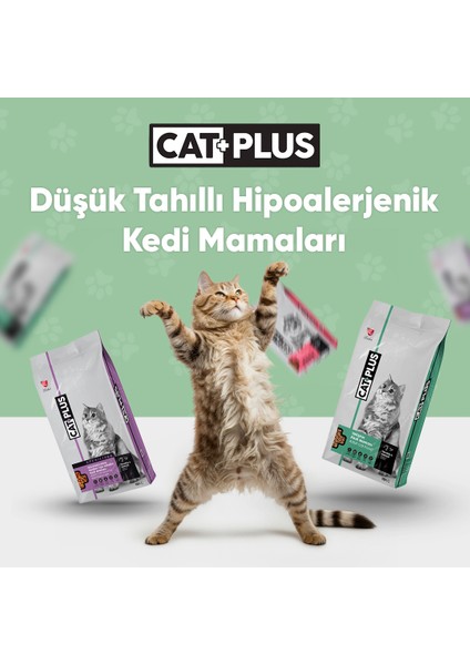 Tavuklu Hamsili Yavru Kedi Maması 1,5 kg x 3 Adet