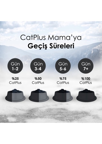 Tavuklu Hamsili Yavru Kedi Maması 1,5 kg x 3 Adet