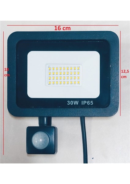 Pelsan Tio 30 W Sensörlü Projektör