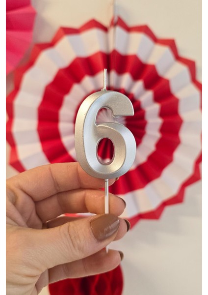 6 Yaş Gümüş Mum Rakam Pasta Mumu Yaş Mum Gümüş Renk fiyatları