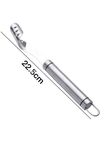 304PASLANMAZ Çelik Biber Tohumu Temizleme Makinesi (Yurt Dışından)