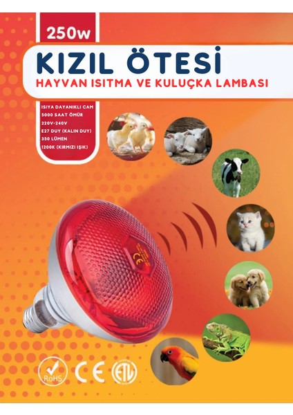 (8 Adet) 250W Kızılötesi (Infrared) Isıtıcılı Hayvan Isıtma ve Kuluçka Lambası (Kırmızı Işık) E27 (Kalın Duy)