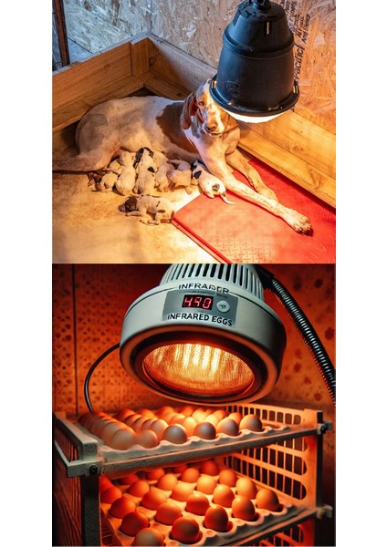 (8 Adet) 250W Kızılötesi (Infrared) Isıtıcılı Hayvan Isıtma ve Kuluçka Lambası (Kırmızı Işık) E27 (Kalın Duy)
