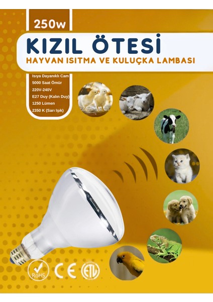 (3 Adet) 250W Kızılötesi (Infrared) Isıtıcılı Hayvan Isıtma ve Kuluçka Lambası (Sarı Işık) E27 (Kalın Duy)