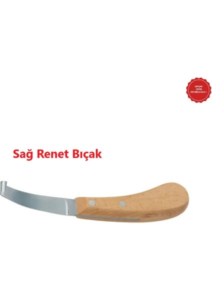 Büyükbaş Tırnak Bıçağı-Renet Sağ