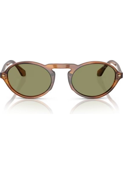 AR8219U 616314 52 Erkek Güneş Gözlüğü fırsatları