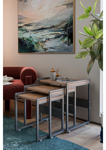 Lavisa 3'lü Zigon Sehpa (Tekerli) fiyatları