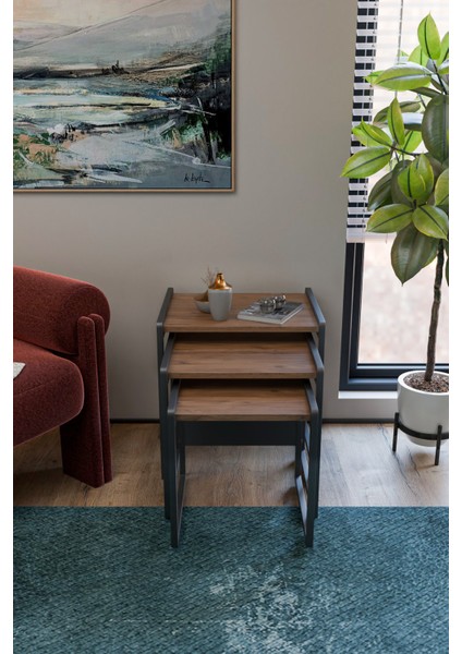 Lavisa 3'lü Zigon Sehpa (Tekerli) modelleri